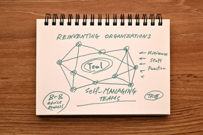 teal-organization